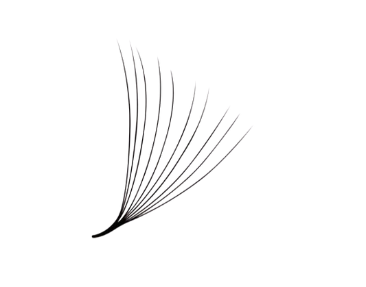 10D Pro Made Fans (Handmade)